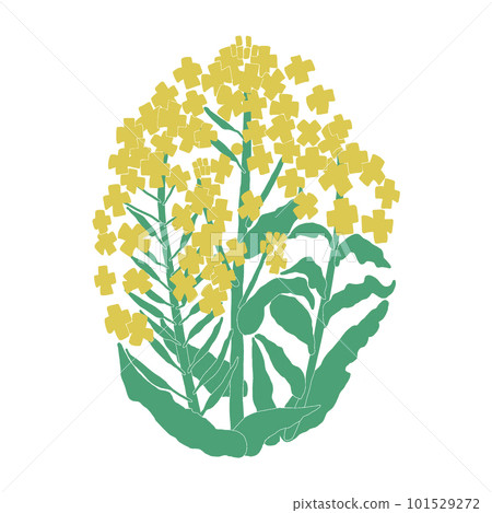 春天黃色油菜花顏色的簡單立體圖 春天黃色油菜花顏色的簡單立體圖 101529272