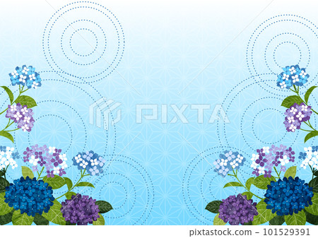 Reverse arch hydrangea rainy season Japanese pattern background horizontal light blue Reverse arch hydrangea rainy season Japanese pattern background horizontal light blue 101529391