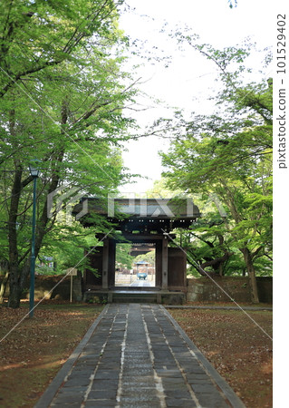 通往被新鮮綠色植物包圍的寺廟的方法 101529402