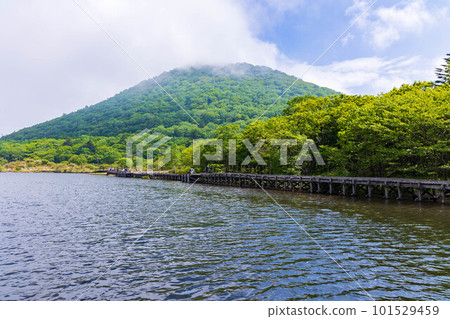 日本100名名山之一的赤城山杜鵑花盛開的初夏Kakumanbuchi 101529459