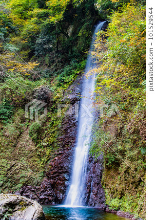 Gifu Yoro Falls Gifu Yoro Falls 101529544
