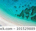 沖繩美麗的大海，翡翠藍色的大海和潔白的沙灘 101529889