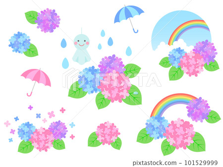 Hydrangea in the rainy season and a cute illustration of a rainy day 101529999