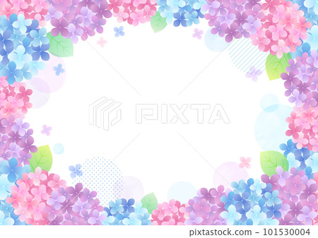 水彩畫的繡球花的插圖框架 水彩畫的繡球花的插圖框架 101530004