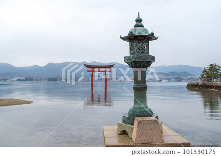 雨後的早晨，嚴島神社，俯瞰廣島縣宮島的大鳥居 101530175