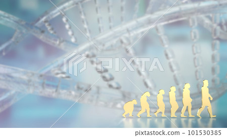 The human evolution image for education or sci concept 3d rendering The human evolution image for education or sci concept 3d rendering 101530385