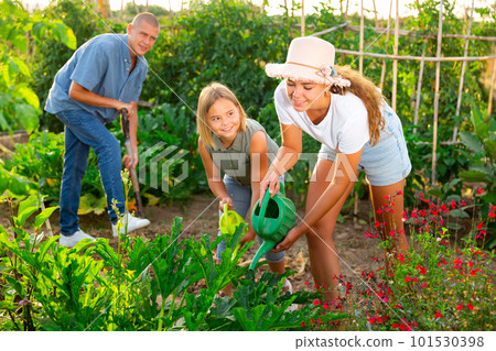 Daughter helps mom to water plants from watering can in farm field Daughter helps mom to water plants from watering can in farm field 101530398