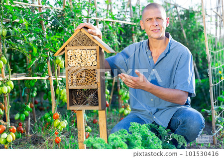 Organic farmer working in his garden during summer season Organic farmer working in his garden during summer season 101530416