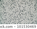 Black and white stone wall background 101530469