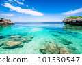 鮮綠色海和白色沙子海灘 101530547