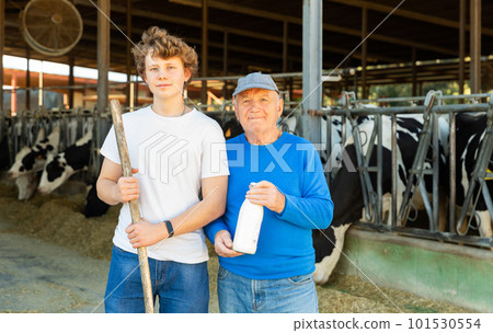 Senior and young men farmers in cowshed 101530554