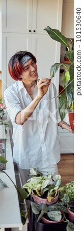 Happy Asian guy touching the leaves of a beautiful flowerpot in the kitchen 101530640