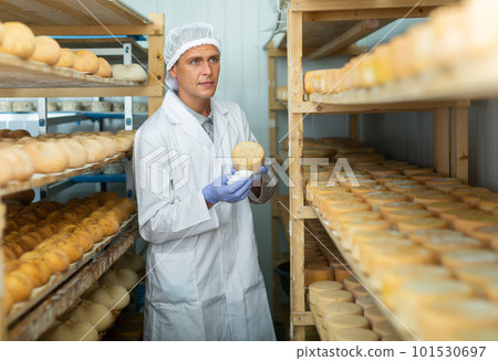 Man in white uniform examining quality of cheese in ripening room 101530697