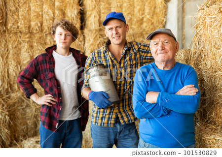 Various aged farmers standing inside hay bales storage Various aged farmers standing inside hay bales storage 101530829