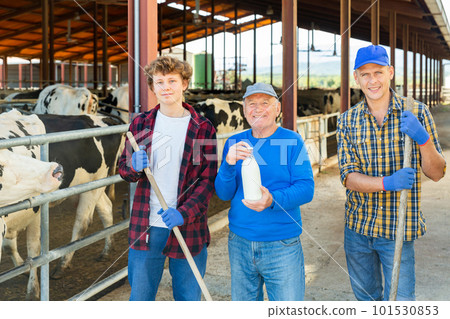 Group photo of farmers in cowhouse Group photo of farmers in cowhouse 101530853