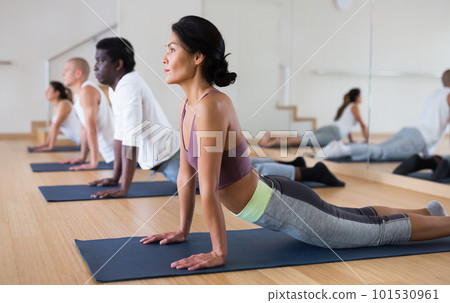 Group lesson on hatha yoga in studio 101530961