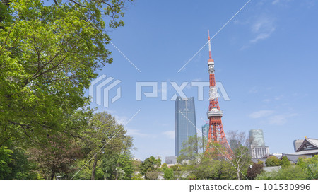 東京都港區 | 從港區芝公園看到的東京鐵塔 101530996