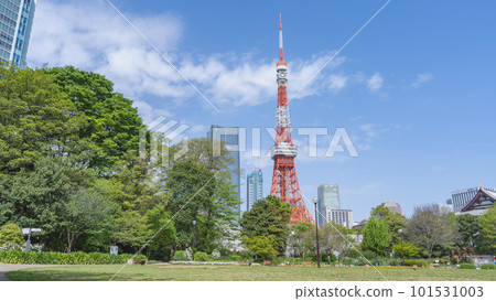 Minato Ward, Tokyo | Tokyo Tower seen from Minato Ward Shiba Park 101531003