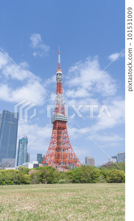 東京都港區 | 從芝公園看到的東京鐵塔 東京都港區 | 從芝公園看到的東京鐵塔 101531009