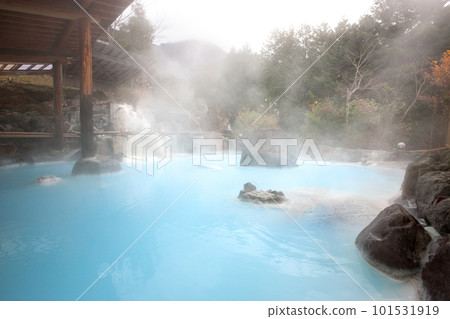 Hot springs and open-air baths in nature 101531919