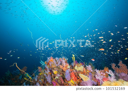 depth of light depth of light 101532169