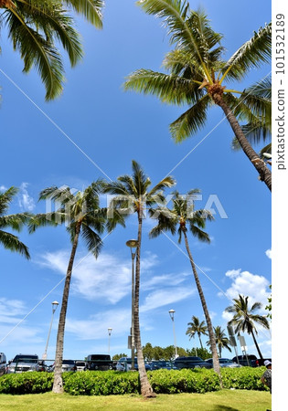 夏威夷的假期 101532189