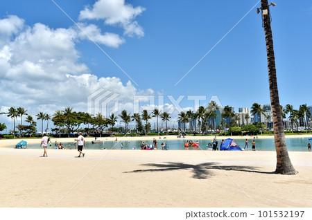 lagoon and palm trees lagoon and palm trees 101532197