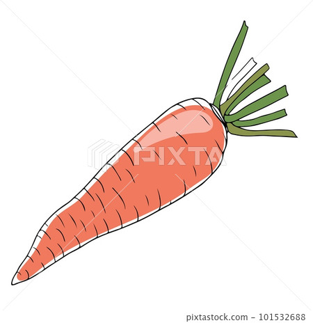 Vector lineart style orange carrot with greenery isolated on white background 101532688