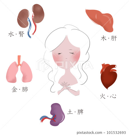 An illustration showing the relationship between the five elements of oriental medicine and the five organs 101532693
