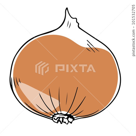 Vector single lineart style yellow onion isolated on white background Vector single lineart style yellow onion isolated on white background 101532705