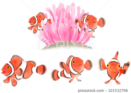 Clownfish illustration material set 101532706