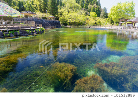 《Kagoshima Prefecture》Maruike spring at the foot of Mt. Kirishima 101532999