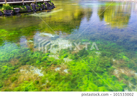 《Kagoshima Prefecture》Maruike spring at the foot of Mt. Kirishima 《Kagoshima Prefecture》Maruike spring at the foot of Mt. Kirishima 101533002