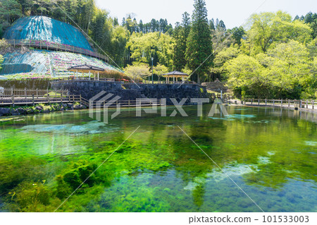 《Kagoshima Prefecture》Maruike spring at the foot of Mt. Kirishima 《Kagoshima Prefecture》Maruike spring at the foot of Mt. Kirishima 101533003