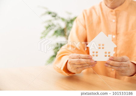 有房子模型的婦女 101533186