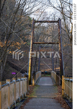 懸索橋的風景 101533187