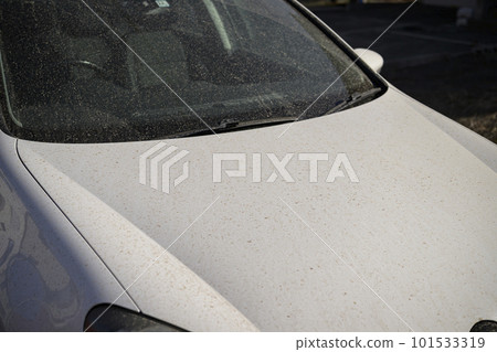 黃沙和骯髒的汽車 黃沙和骯髒的汽車 101533319
