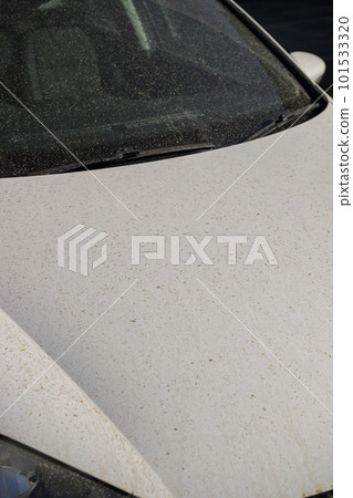 黃沙和骯髒的汽車 101533320