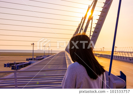 站在機場的女人的背影 101533757