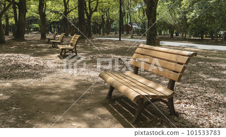 東京｜春天代代木公園中央廣場附近的長椅 101533783