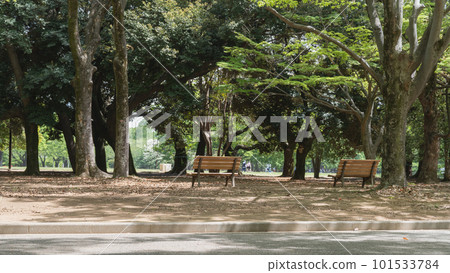 東京|春天代代木公園中央廣場附近的長椅 東京|春天代代木公園中央廣場附近的長椅 101533784