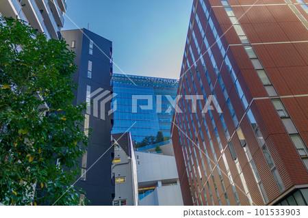 [Urban scenery of Tokyo] Urban scenery around Shibuya Udagawacho (around Shibuya Parco) 101533903