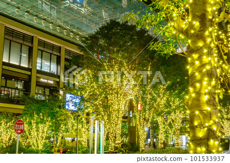 [東京的城市夜景]日本橋室町周邊的燈飾（COREDO室町Terrace） 101533937