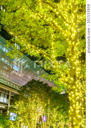 [東京的城市夜景]日本橋室町周邊的燈飾（COREDO室町Terrace） 101533939
