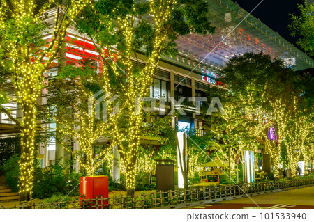[東京的城市夜景]日本橋室町周邊的燈飾（COREDO室町Terrace） 101533940