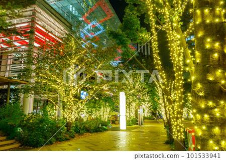 [東京的城市夜景]日本橋室町周邊的燈飾（COREDO室町Terrace） 101533941