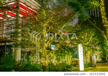 [東京的城市夜景]日本橋室町周邊的燈飾（COREDO室町Terrace） 101533942