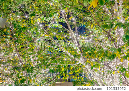 [Tokyo night view] Illuminations around Otemachi (TOKYO TORCH Tokiwabashi Tower) 101533952