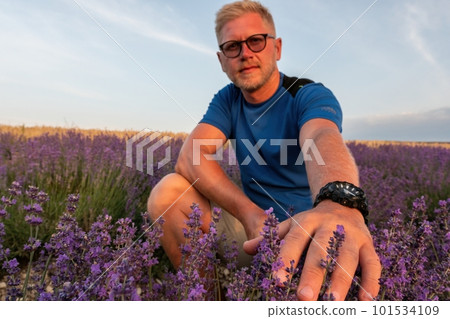Close up portrait of happy young man in blue t-shirt and glasses on blooming lavender fields with endless rows. Warm sunset light. Bushes of lavender purple aromatic flowers on lavender fields 101534109
