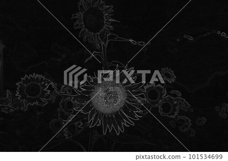 Sunflower 1, a symbol of midsummer in CG images 101534699